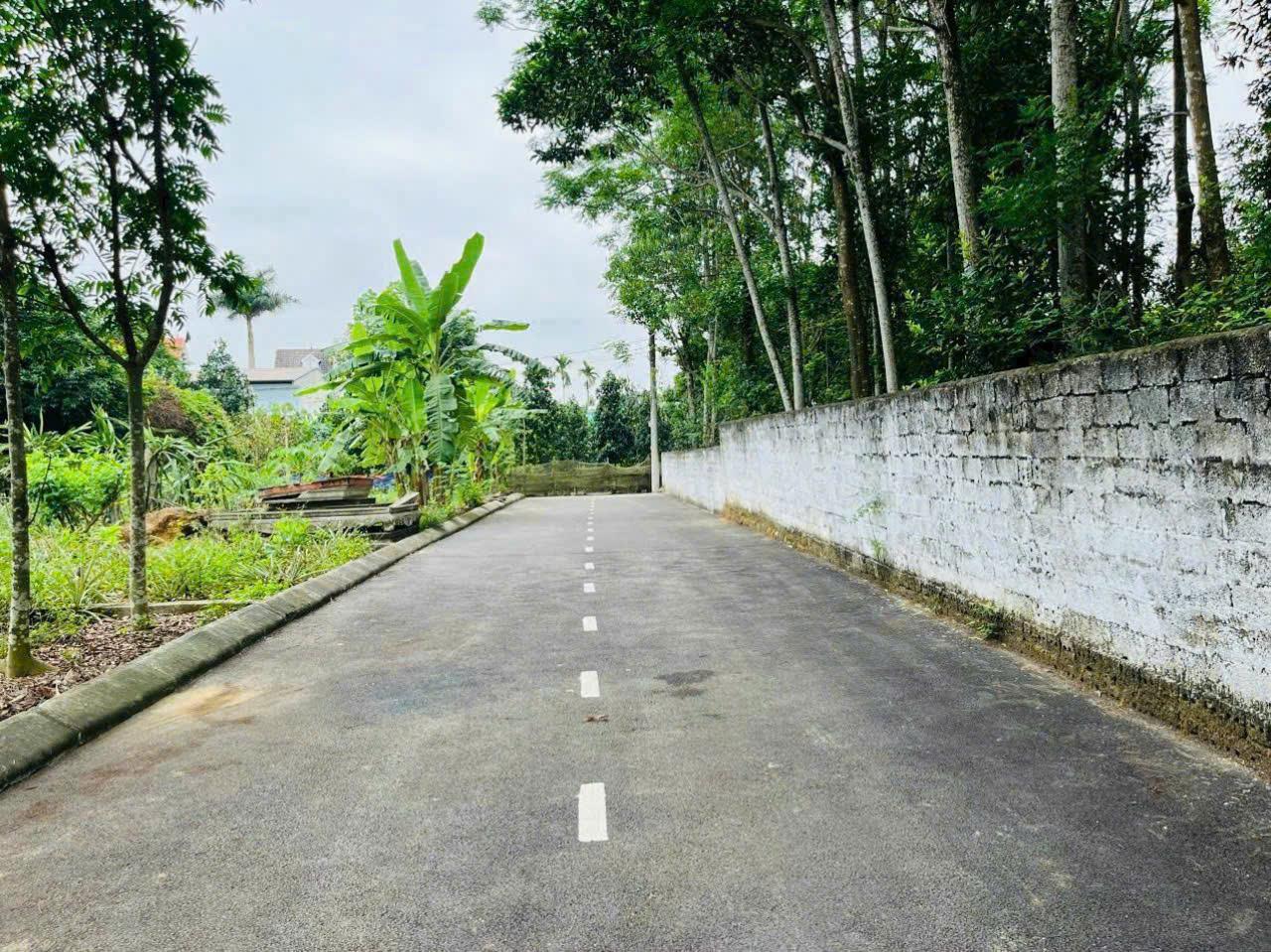 Bán Đất Thạch Thất, Bán Đất Bình Yên | Bán Đất Thôn Sen Trì