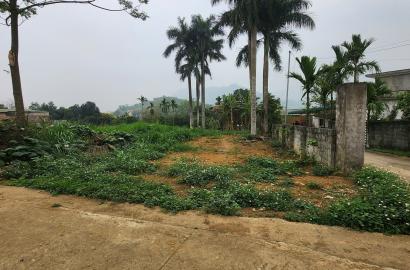 Bán Đất Quốc Oai, Bán Đất Phú Mãn | Bán Đất Thôn Cổ Rùa