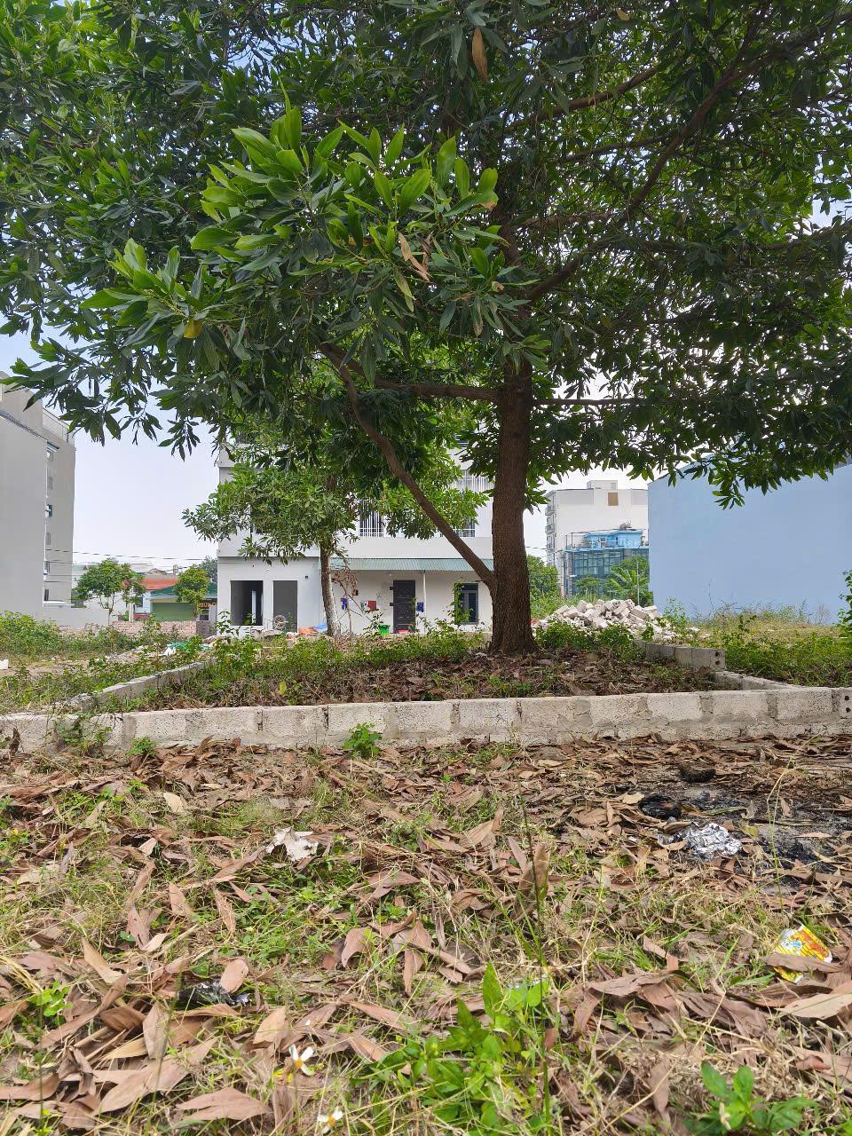 Bán Đất Thạch Thất, Bán Đất Thạch Hòa | Bán đất tái định cư Bắc Phú Cát | Bán đất Hòa Lạc gần Đại học Quốc Gia | Bán đất Hòa Lạc gần đại học FPT