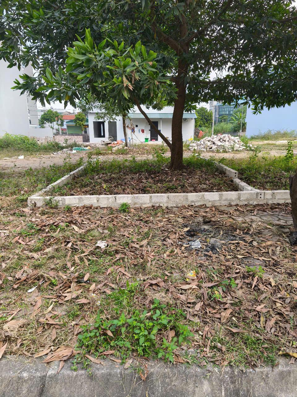 Bán Đất Thạch Thất, Bán Đất Thạch Hòa | Bán đất tái định cư Bắc Phú Cát | Bán đất Hòa Lạc gần Đại học Quốc Gia | Bán đất Hòa Lạc gần đại học FPT