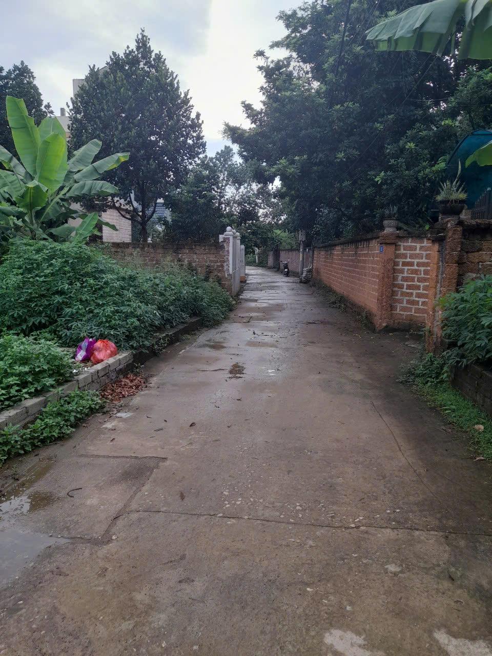 Bán Đất Thạch Thất, Bán Đất Tân Xã | Bán Đất Đội 3 | Bán đất Hòa Lạc gần đại học FPT