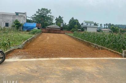 Bán Đất Quốc Oai, Bán Đất Phú Cát | Bán Đất Thôn 3