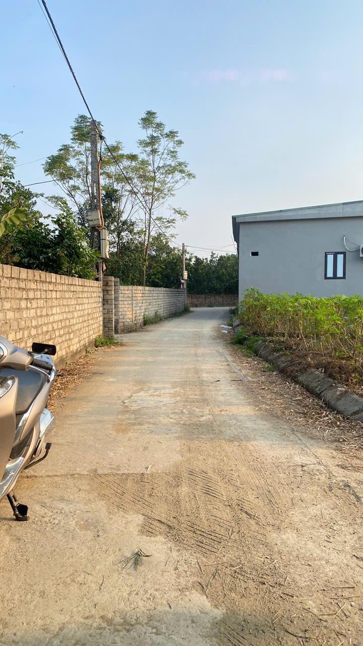 Bán Đất Thạch Thất, Bán Đất Tân Xã | Bán Đất Đội 8 | Bán đất Hòa Lạc gần đại học FPT