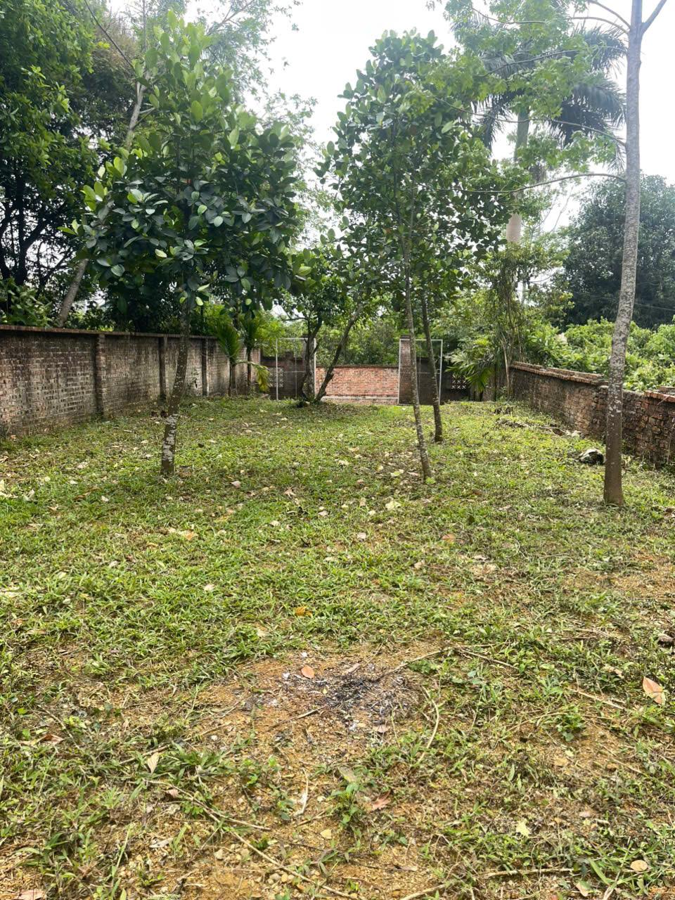 Bán Đất Quốc Oai, Bán Đất Phú Cát | Giá Rẻ, Vị Trí Đẹp
