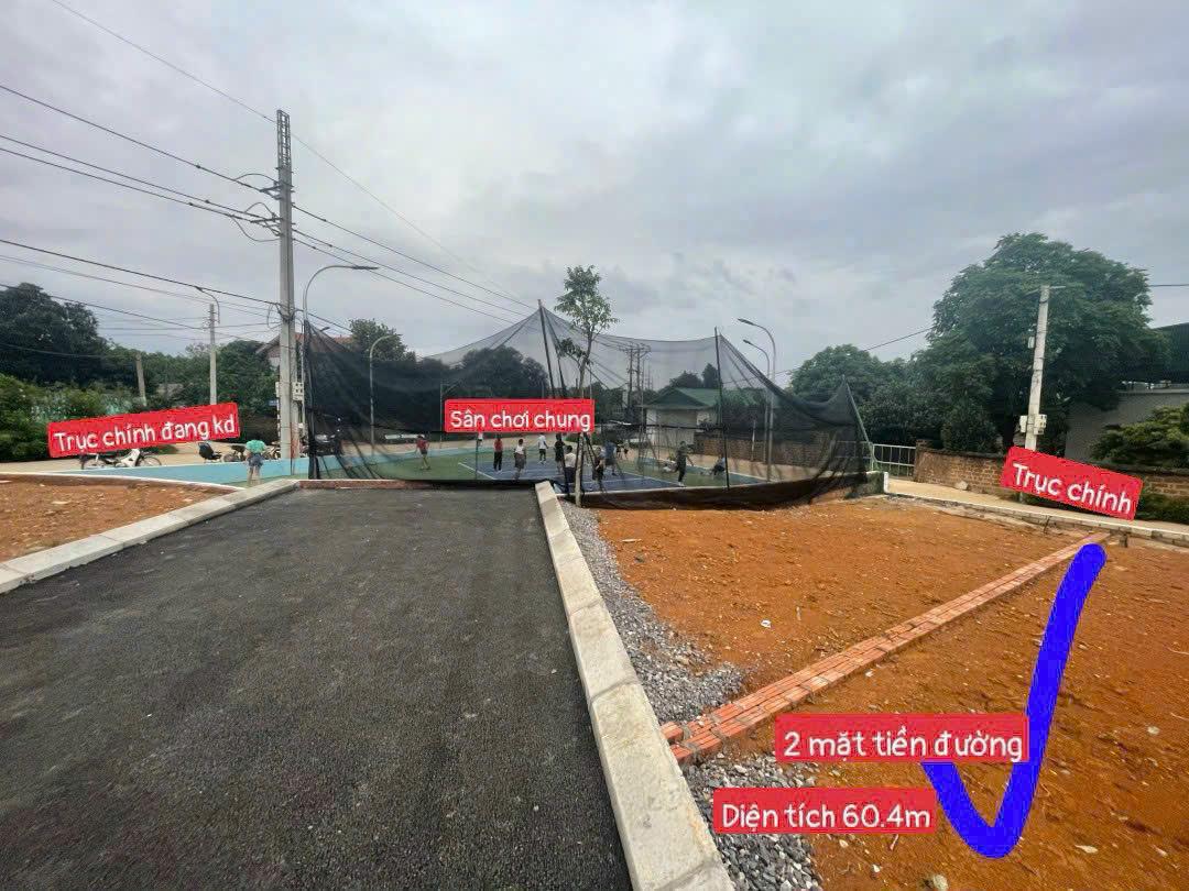 Bán Đất Sơn Tây, Bán Đất Cổ Đông