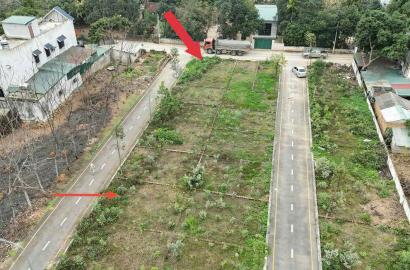 Bán Đất Sơn Tây, Bán Đất Cổ Đông