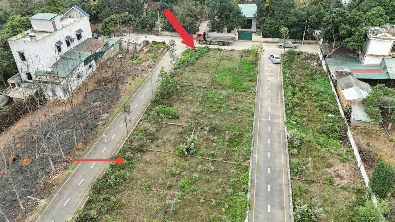 Bán Đất Sơn Tây, Bán Đất Cổ Đông