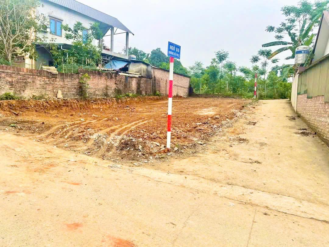 Bán Đất Thạch Thất, Bán Đất Yên Trung | Bán Đất Thôn Đồng Tơi