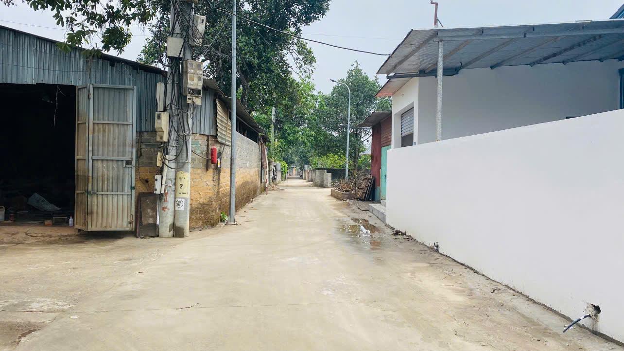 Bán Đất Sơn Tây, Bán Đất Xã Cổ Đông | Bán Đất Thôn Đại Trung