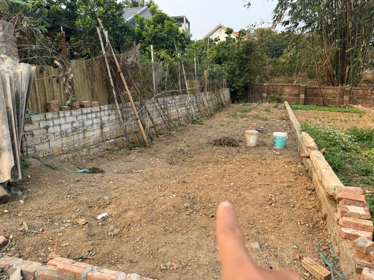 Bán Đất Thạch Thất, Bán Đất Hạ Bằng | Bán Đất Thôn 8