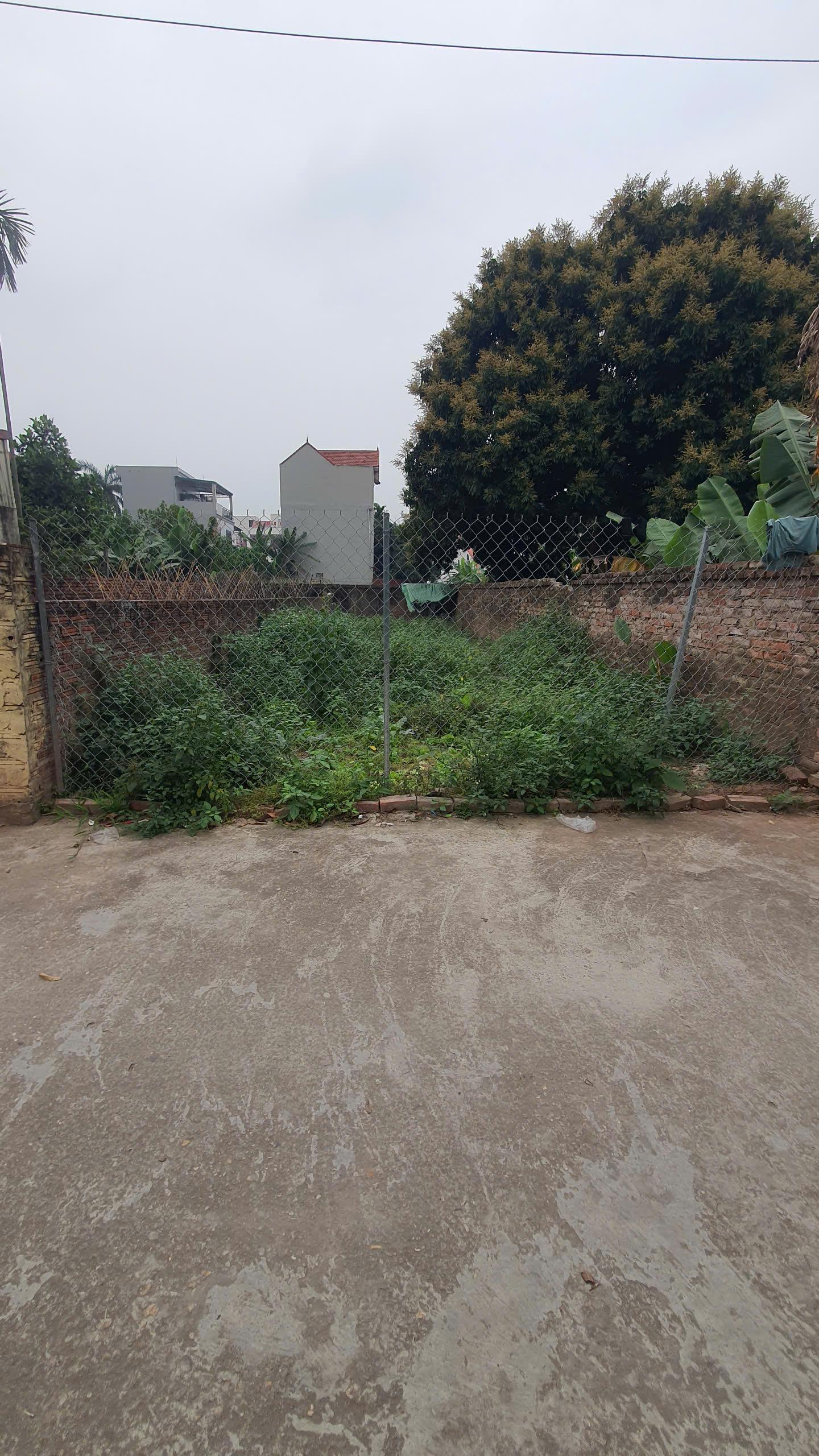 Bán đất Đan Phượng – Quán La