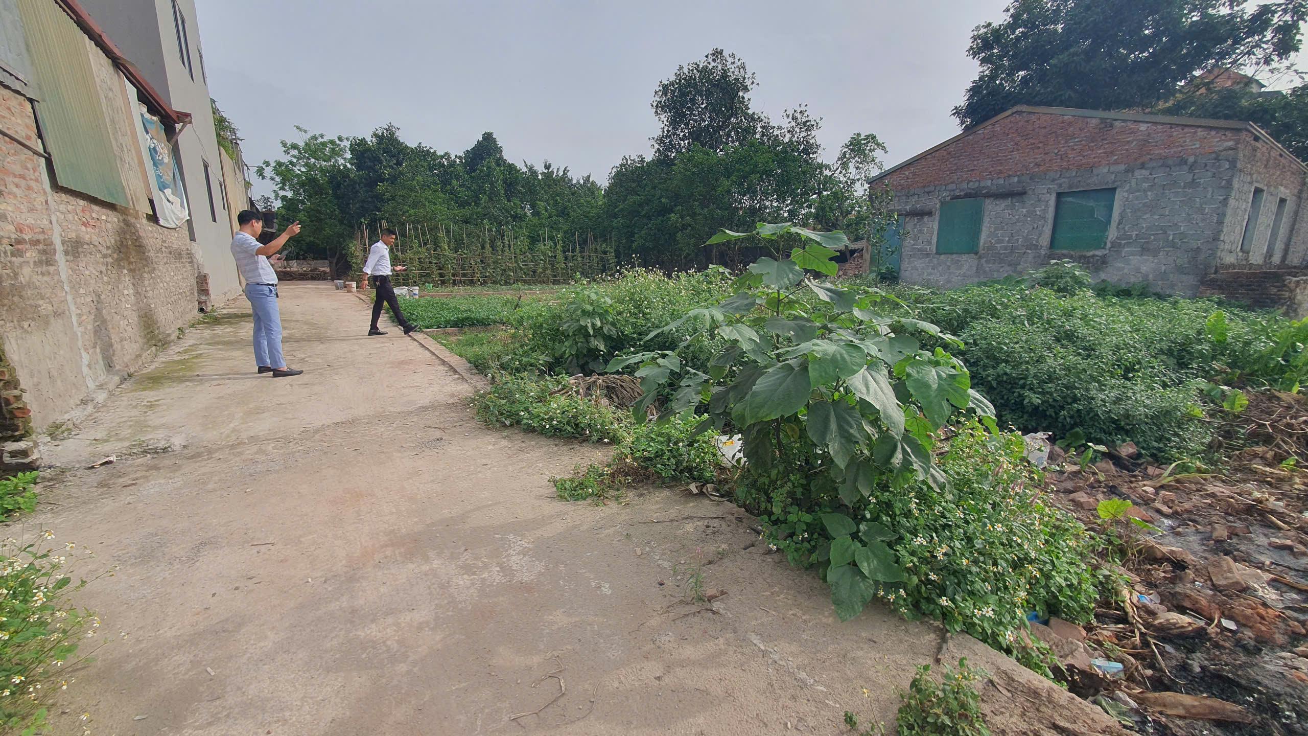 Bán Đất Đan Phượng | Xã Thọ An 71m² Nở Hậu, Ngõ 3m Ô Tô Vào Tận Nơi, Giá 49 Triệu/m²