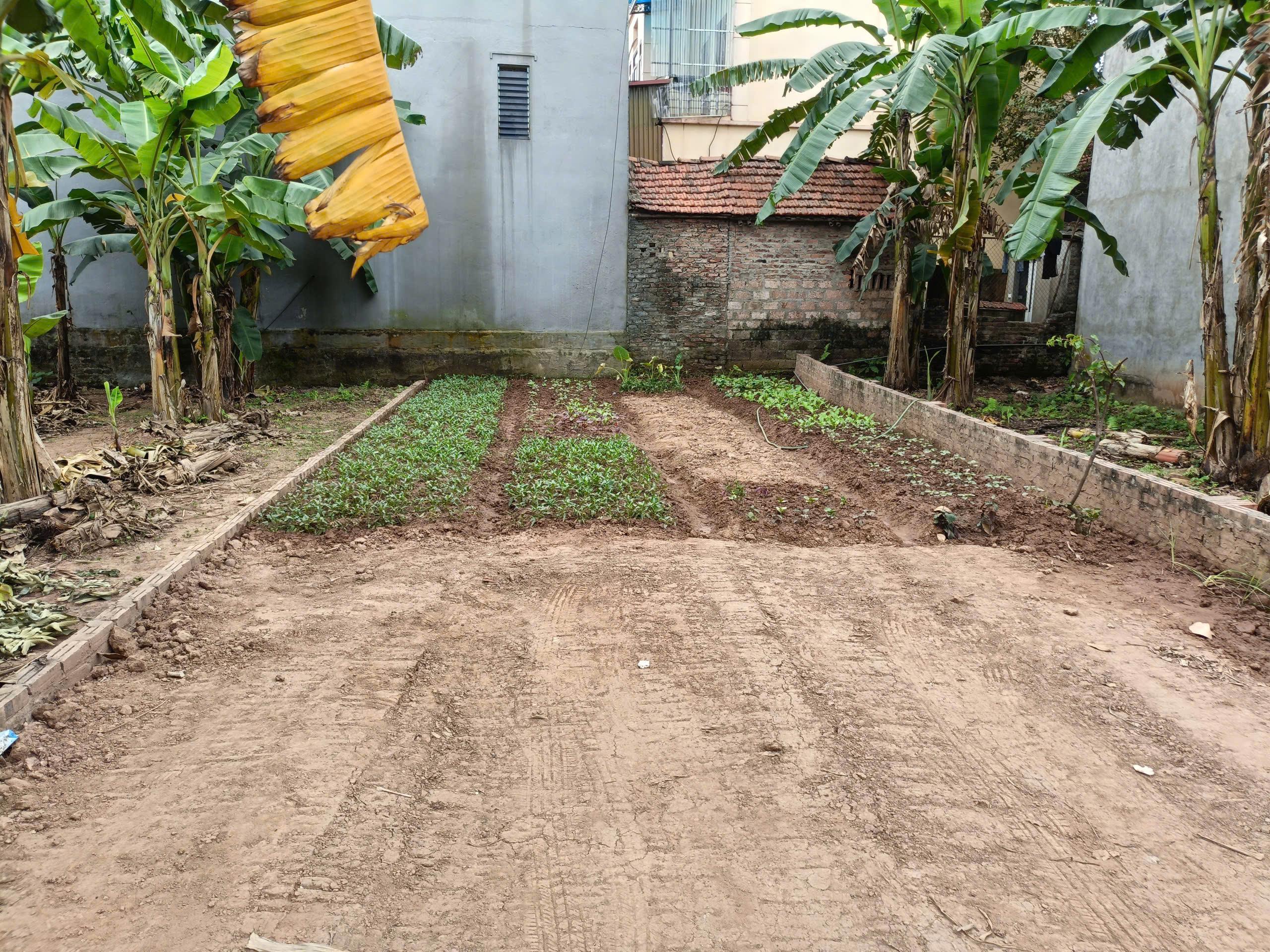 Bán Đất Xã Trung Châu, Huyện Đan Phượng | Lô Đẹp 84m², Mặt Tiền 5.2m, Nở Hậu, Ngõ Rộng 5m Ô Tô Tránh – Giá Chỉ 54 Triệu/m²