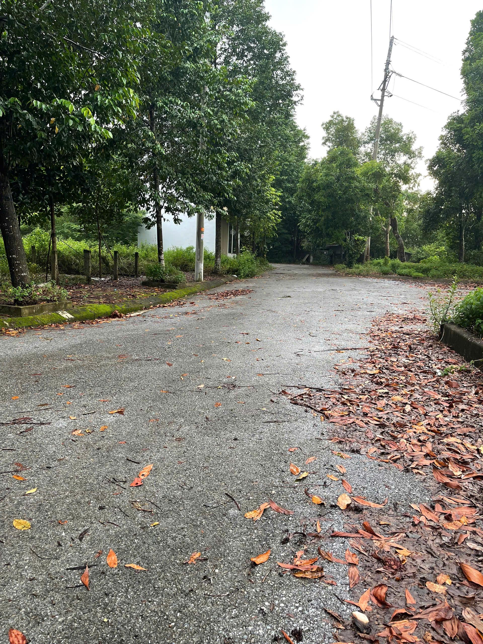 Bán lô góc 200m² view hồ khu TĐC Đại Học Quốc Gia – vị trí đắc địa hiếm có