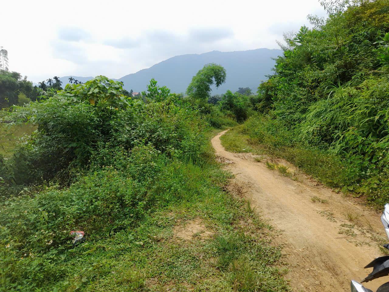 Bán đất tại thôn 2 Yên Xuân - Hà Nội