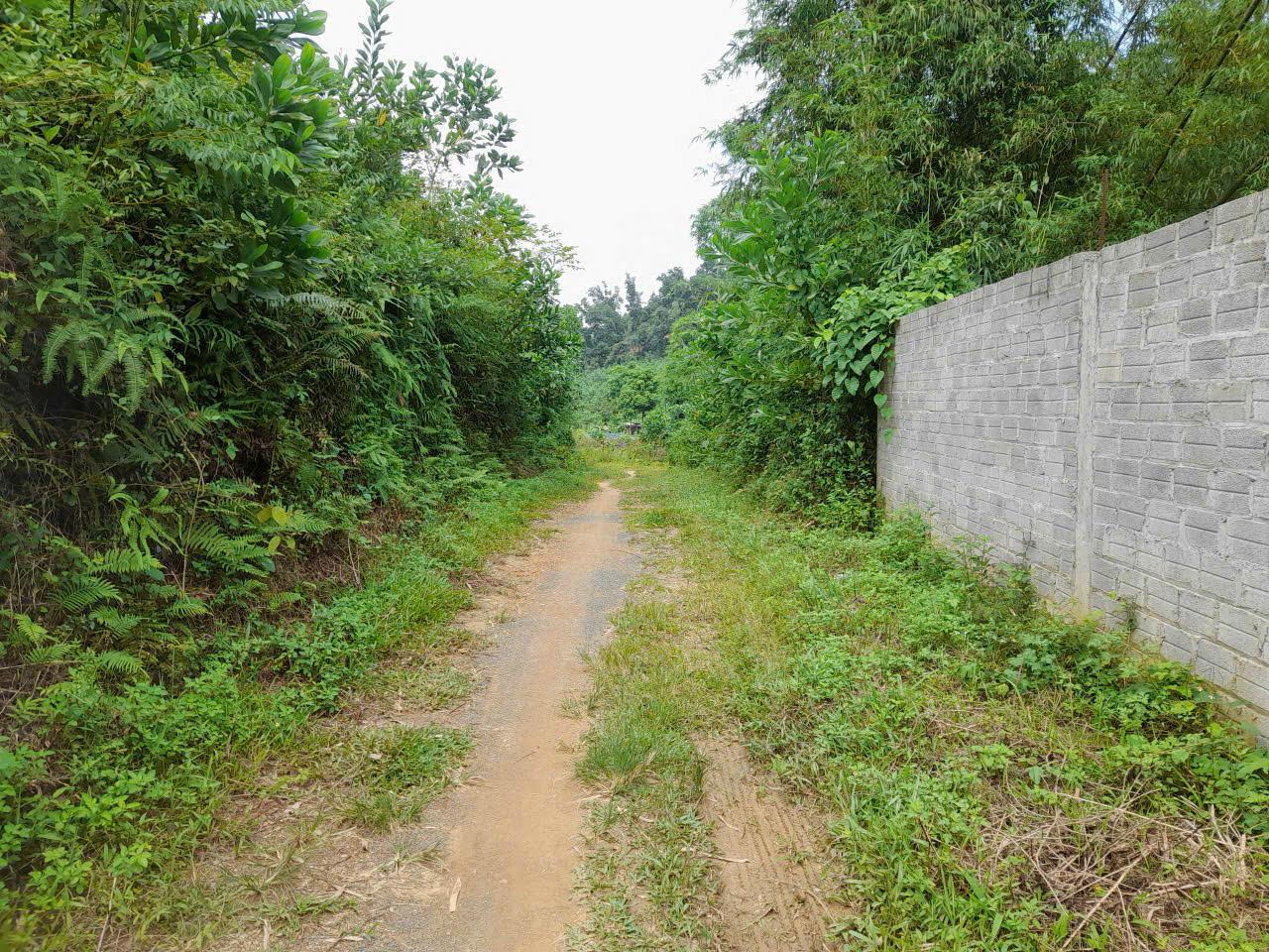 Bán đất tại thôn 2 Yên Xuân - Hà Nội