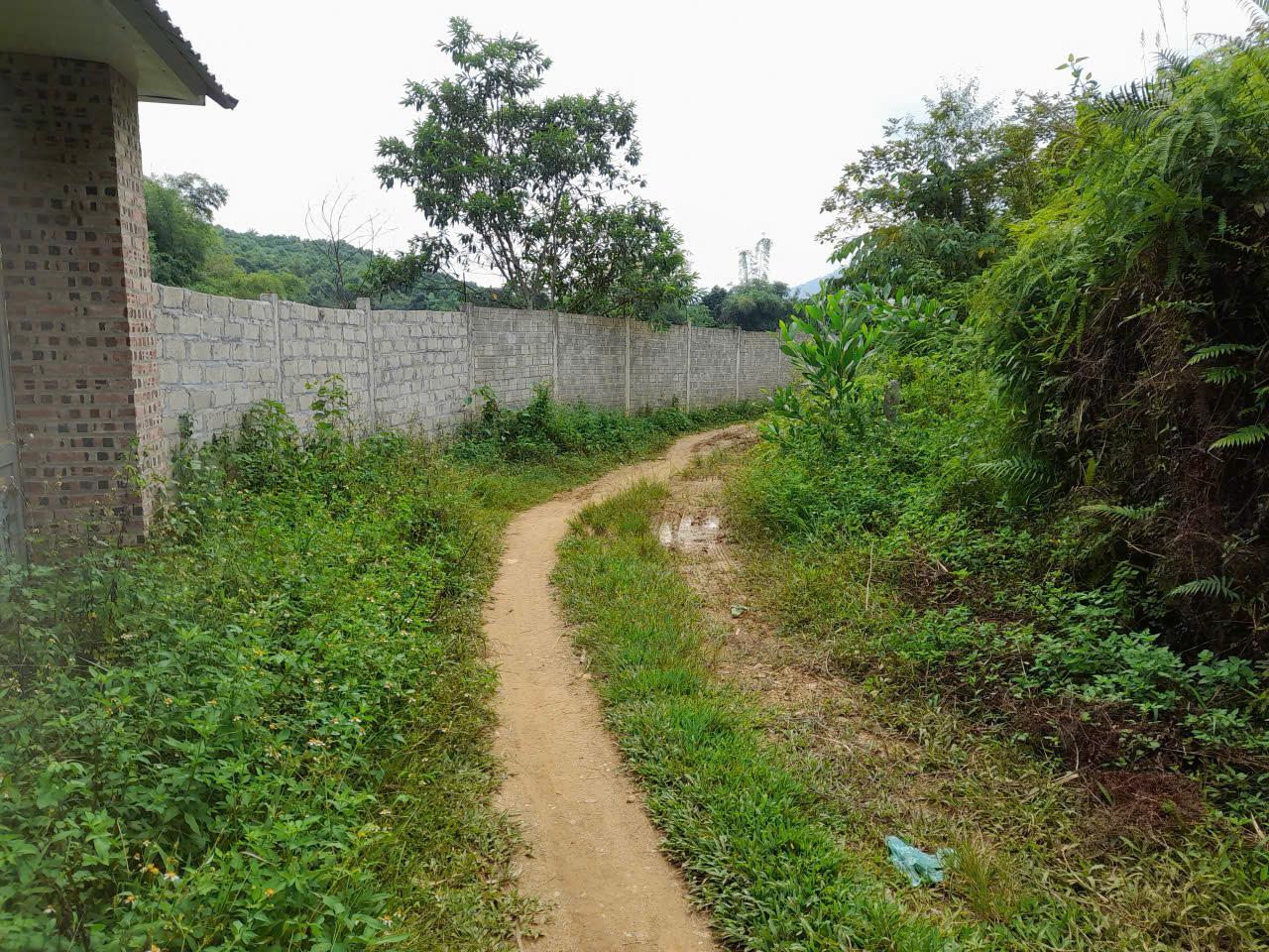 Bán đất tại thôn 2 Yên Xuân - Hà Nội