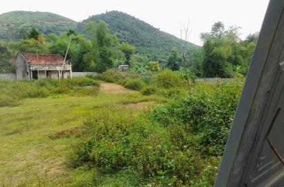 Bán đất tại thôn 2 Yên Xuân - Hà Nội