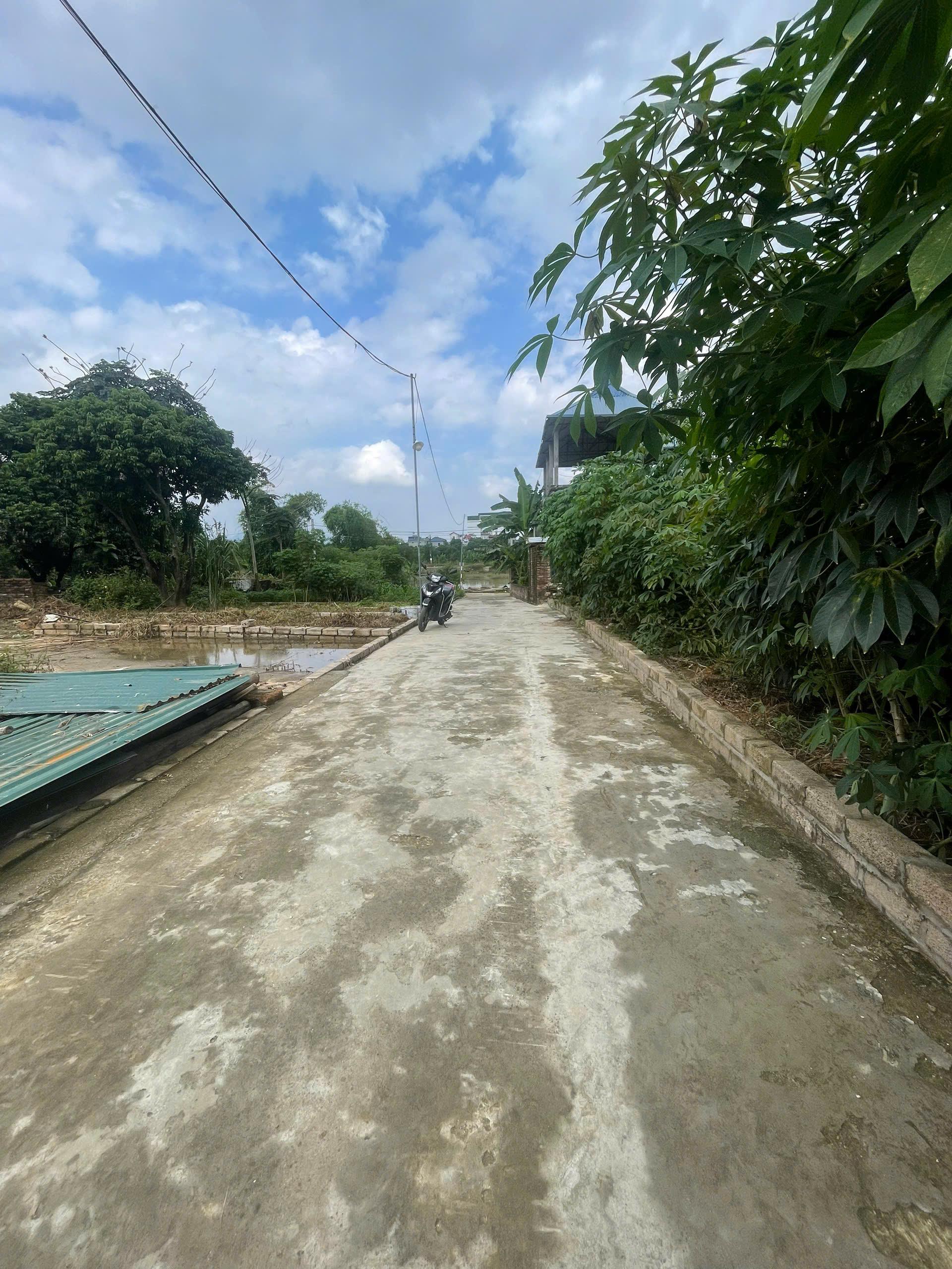 Bán Đất 63,6m² Thôn 2 Khoang Mè – Hạ Bằng, Vị Trí Đẹp