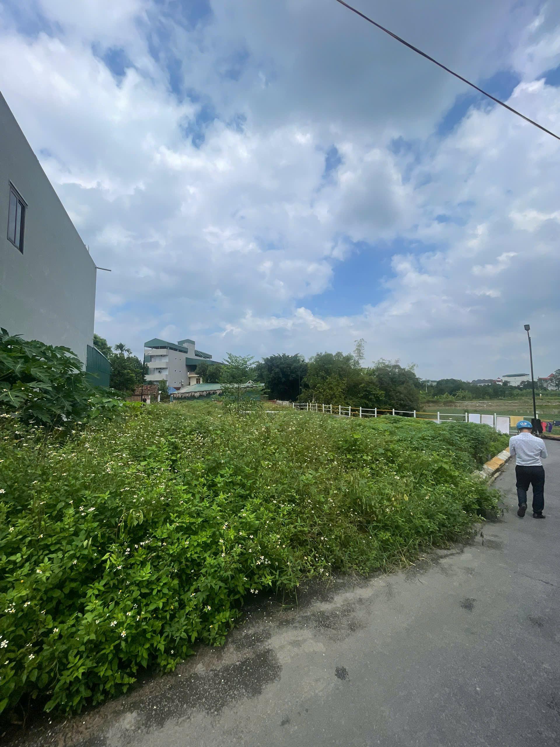 Đất 66,2m² Thôn 5, Tân Xã – Giao thông thuận tiện, gần chợ & khu TĐC, cơ hội đầu tư hấp dẫn!