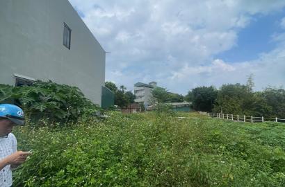 Đất 66,2m² Thôn 5, Tân Xã – Giao thông thuận tiện, gần chợ & khu TĐC, cơ hội đầu tư hấp dẫn!