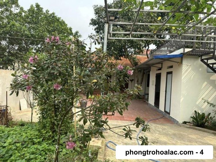 Cho Thuê Nhà Gần Đại Học FPT | Cho Thuê Nhà Cấp 4, Thôn 2, Tân Xã Thạch Thất Hà Nội