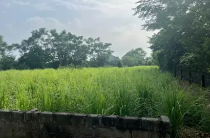 Bán Đất Quốc Oai, Bán Đất Xã Hòa Thạch | Bán Đất Tại Thôn Hoà Trúc