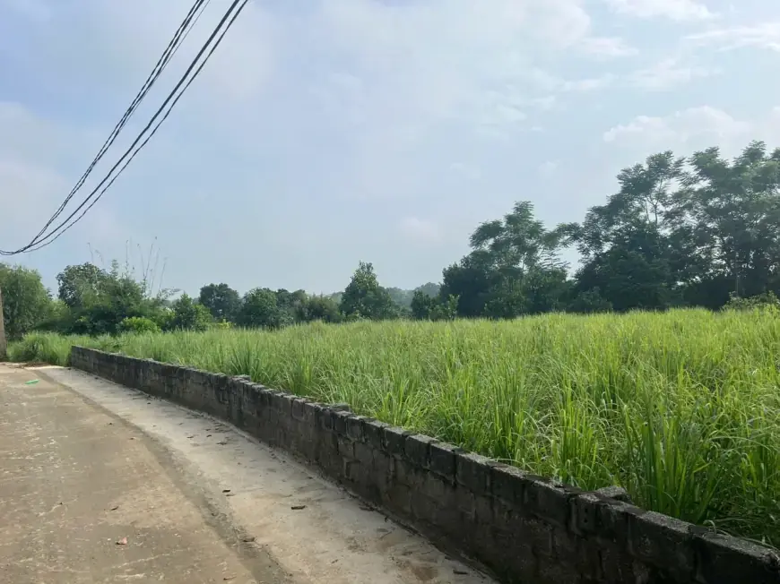 Bán Đất Quốc Oai, Bán Đất Xã Hòa Thạch | Bán Đất Tại Thôn Hoà Trúc