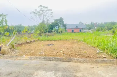 Bán Đất Hòa Lạc Thạch Thất, Bán Đất Tân Xã | Bán Đất Tại Thôn Mục Uyên 2 | Bán đất Hòa Lạc gần đại học FPT