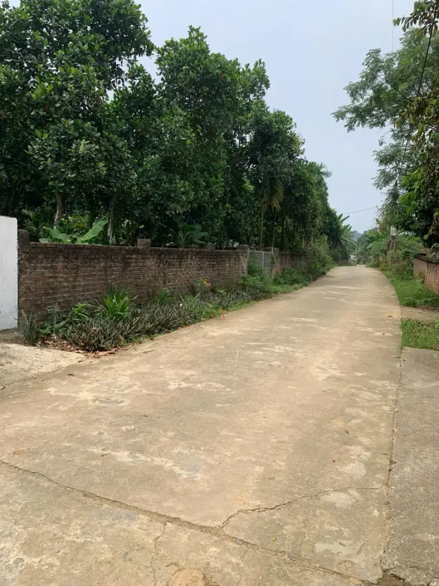 Bán Đất Thạch Thất, Bán Đất Xã Yên Bình | Bán Đất Tại Thôn 4
