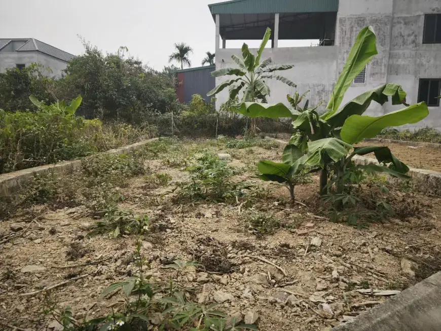 Bán Đất Thạch Thất, Bán Đất Xã Bình Yên | Bán Đất Thổ Cư Thôn Sen Trì