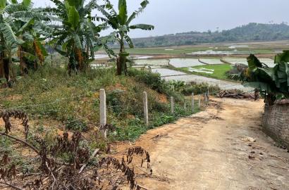 Bán Đất Quốc Oai, Bán Đất Xã Phú Mãn | Bán Đất Thôn Cổ Rùa