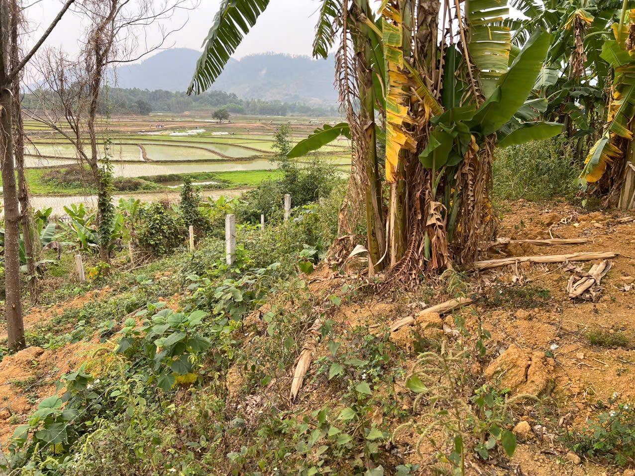 Bán Đất Quốc Oai, Bán Đất Xã Phú Mãn | Bán Đất Thôn Cổ Rùa