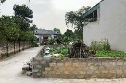 Bán Đất Sơn Tây , Bán Đất Xã Kim Sơn | Bán Đất Thôn Nhà Thờ
