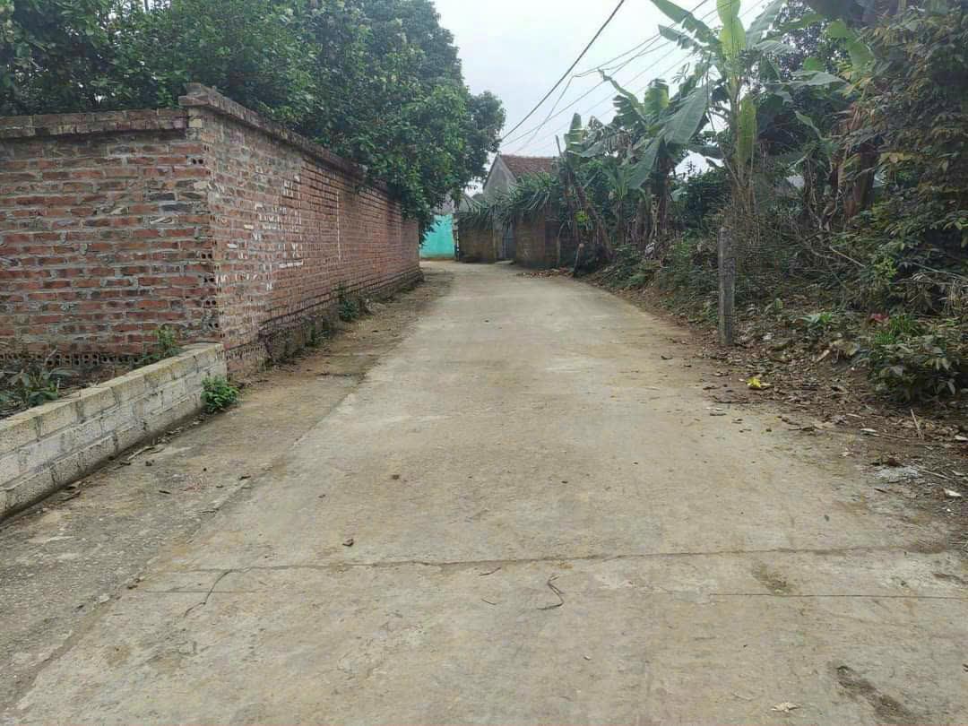 Bán Đất Sơn Tây , Bán Đất Xã Kim Sơn | Bán Đất Thôn Nhà Thờ