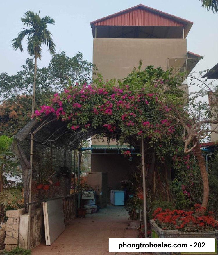 Nhà Trọ Gần Trường Đại Học FPT Hà Nội | Cách Dưới 2km | Nhà Trọ Nhất Uyên