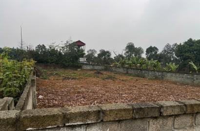 Bán Đất Quốc Oai, Bán Đất Xã Phú Cát | Bán Đất Tại Phú Sơn