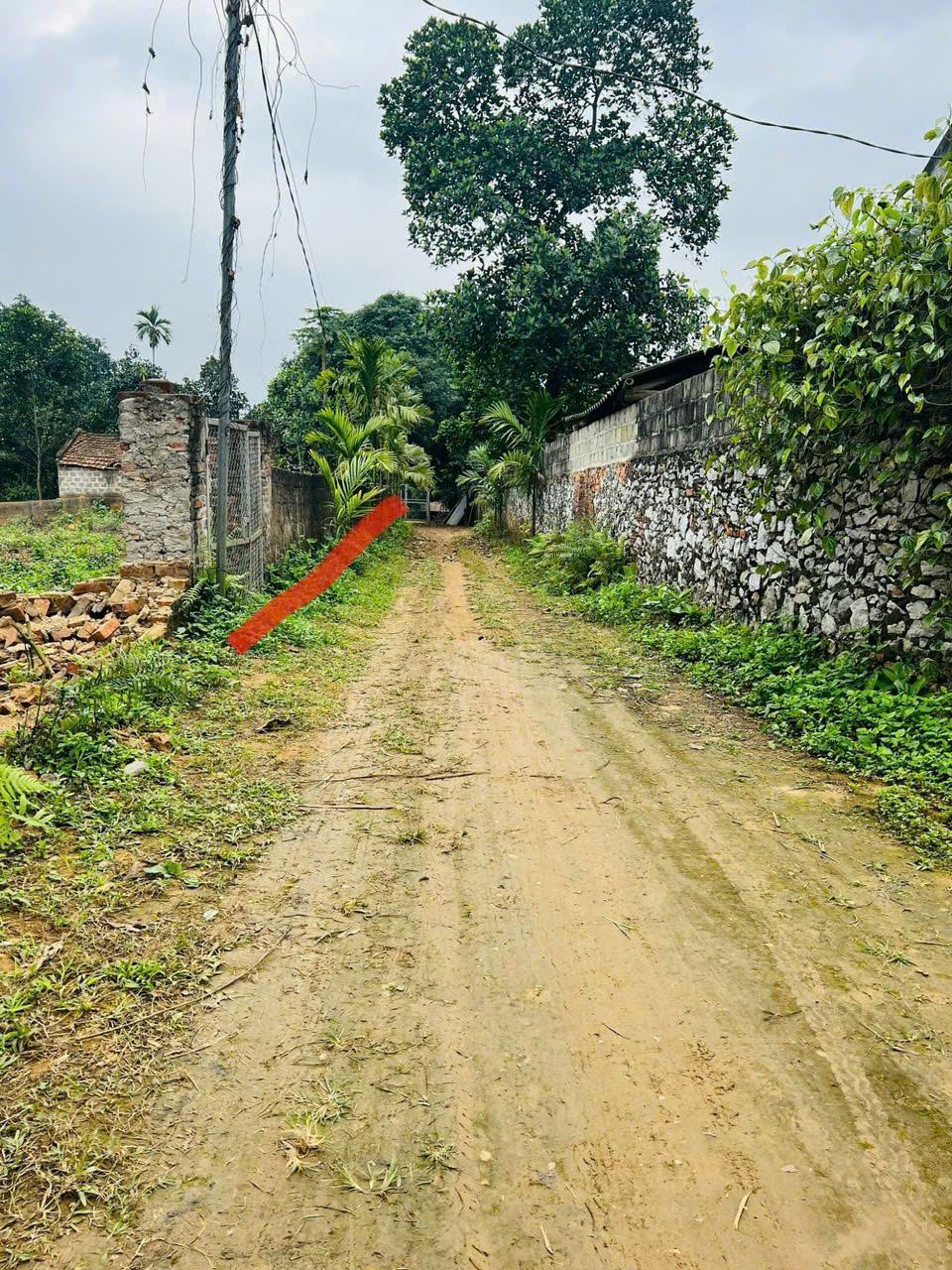 Bán Đất Hòa Bình Giá Tốt | Đất Thị Trấn Ba Hàng Đồi, Lạc Thủy, Khu Quyết Tiến