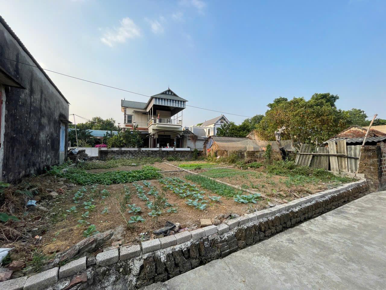Bán Đất Chương Mỹ, Bán Đất Xã Tân Tiến | Bán Đất Tại Thôn Tiên Tiến