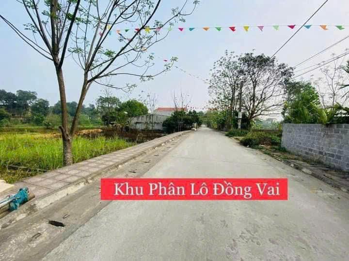 Bán Đất Chương Mỹ, Bán Đất Thị Trấn Xuân Mai | Bán Đất Phân Lô Đồng Vai