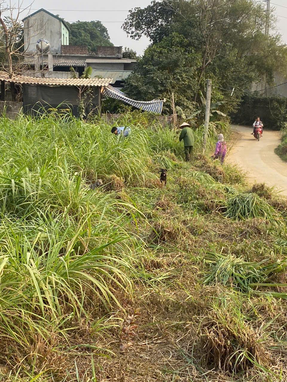Bán Đất Ba Vì, Bán Đất Xã Vân Hòa | Bán 3 Lô Đất
