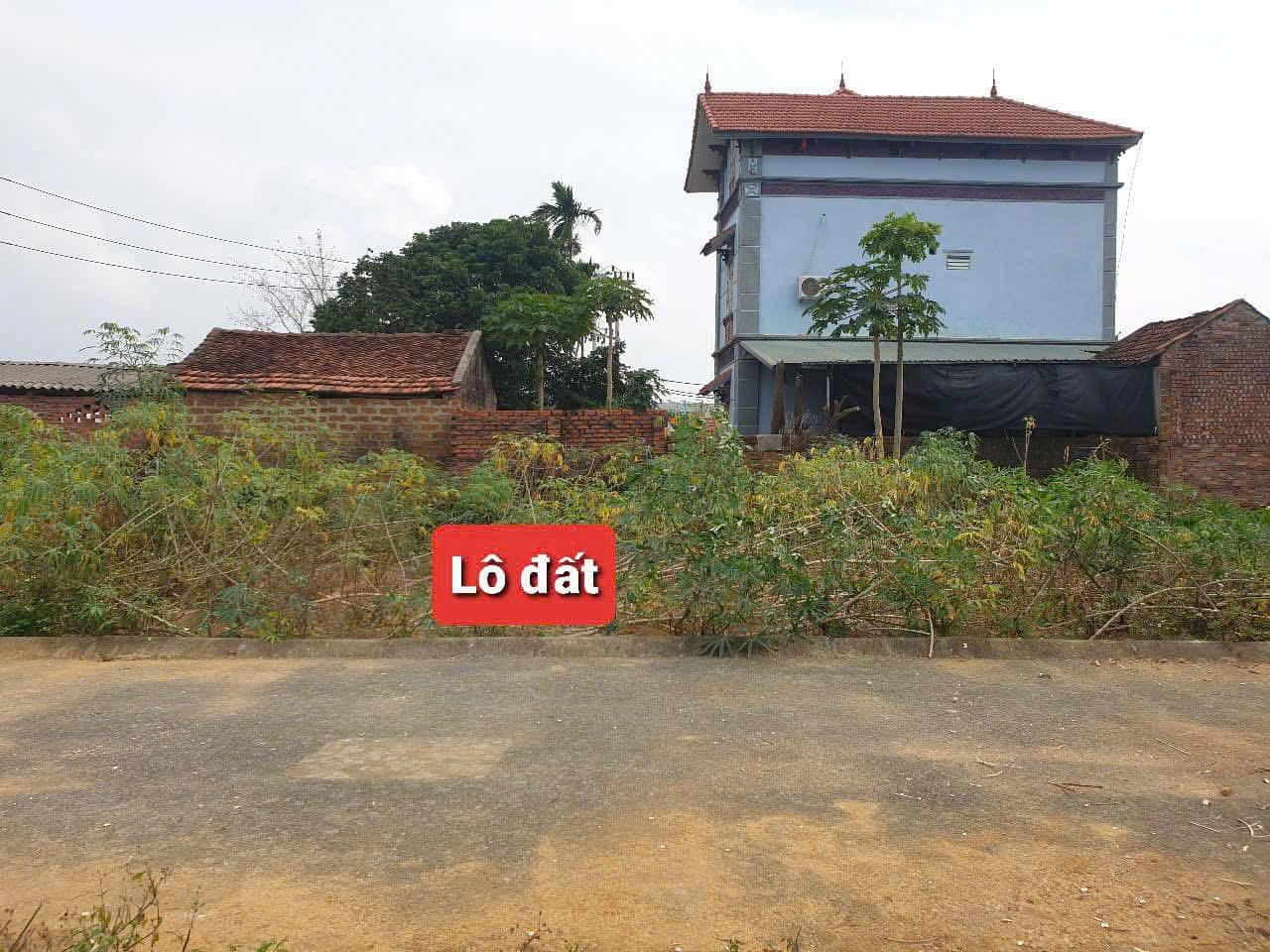 Bán Đất Hòa Lạc – Thạch Thất | Đất Tân Xã, Đội 3 Giá Tốt