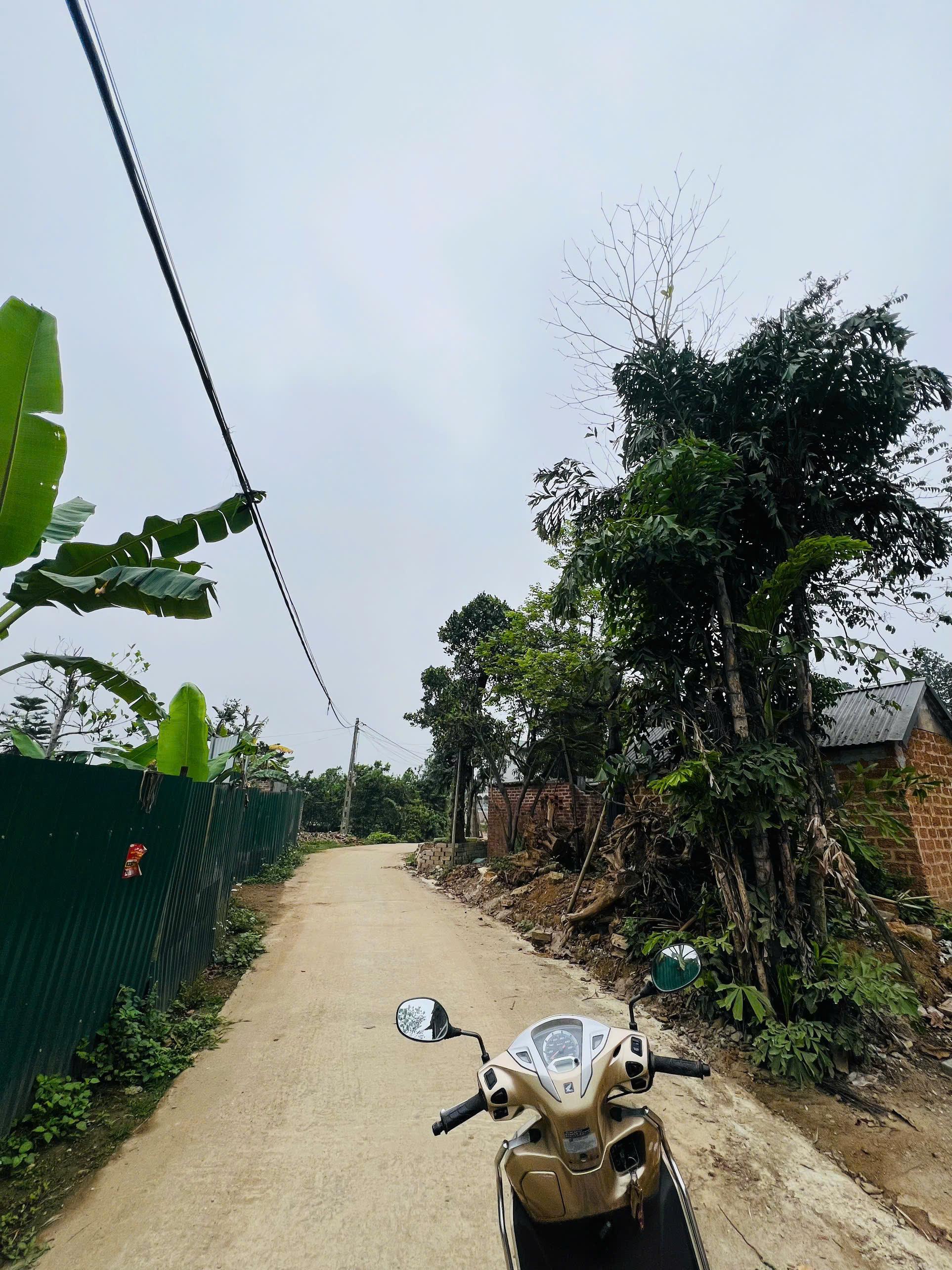 Bán Đất Thạch Thất, Bán Đất Hạ Bằng | Bán Đất Thôn 8