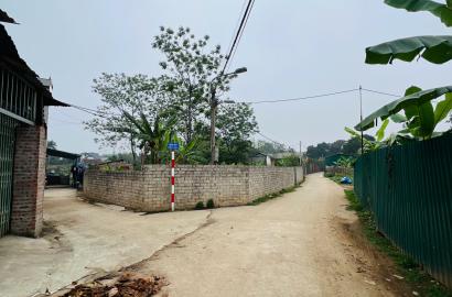 Bán Đất Thạch Thất, Bán Đất Hạ Bằng | Bán Đất Thôn 8